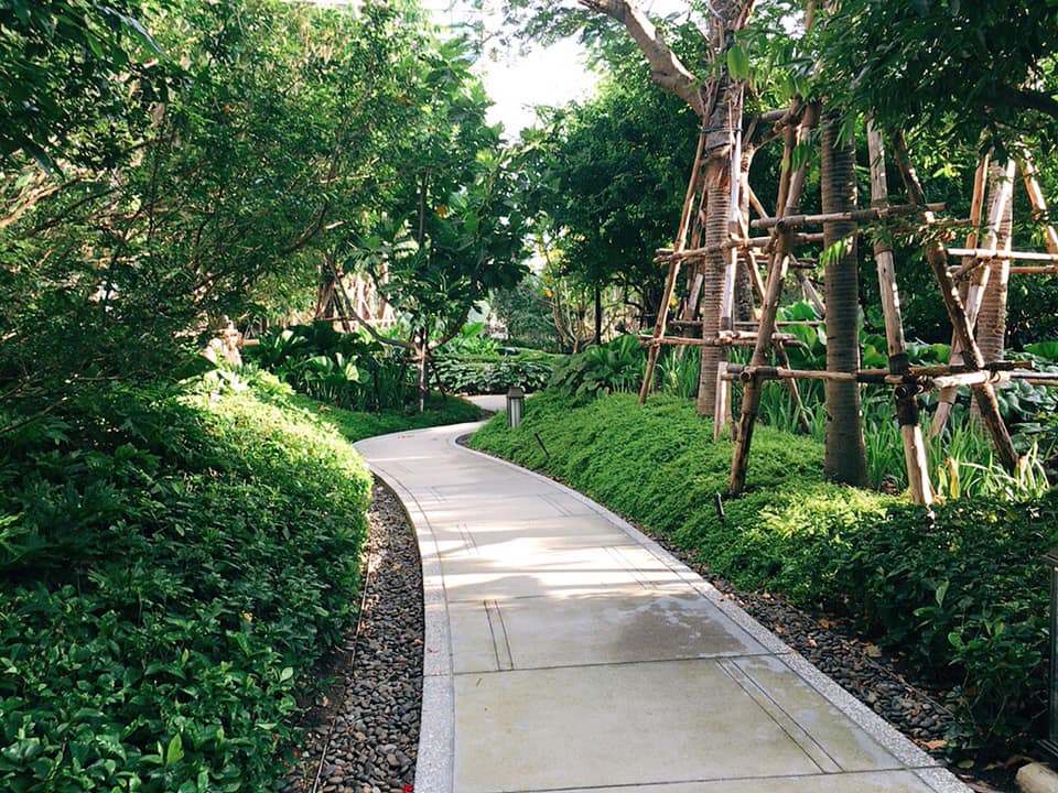 【Kimpton Maa-Lai Bangkok】ホテル1階の緑豊かな庭園カフェ「CRAFT」@ランスワン