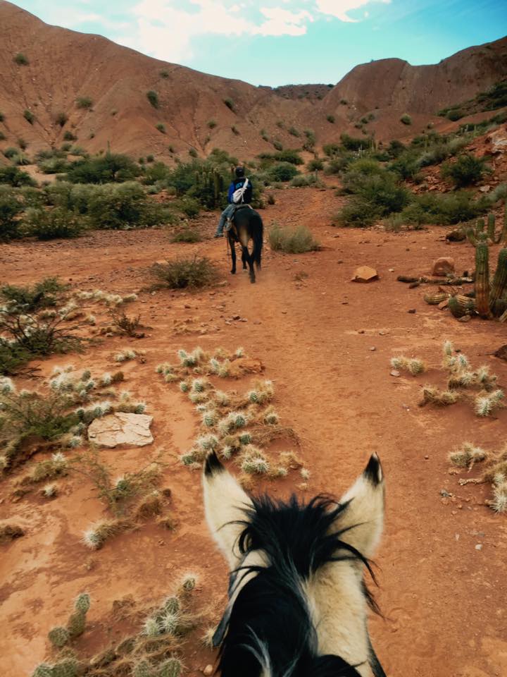 絶景！ボリビア南部の秘境『トゥピサ』で乗馬体験｜西部劇の世界に感動