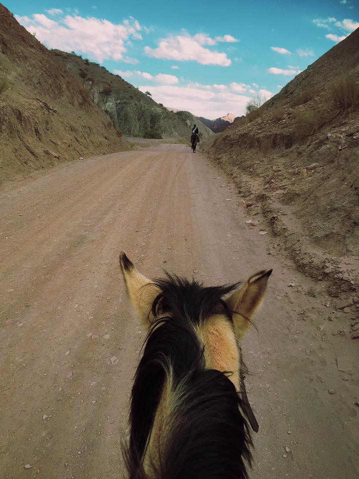 絶景！ボリビア南部の秘境『トゥピサ』で乗馬体験｜西部劇の世界に感動